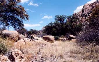 peace treaty site today